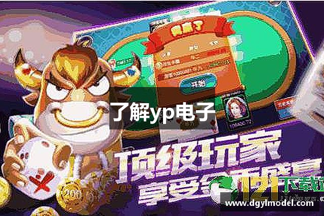 了解yp电子